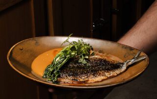 Demeter Meilleur Restaurant Bordeaux Centre Realisations 19